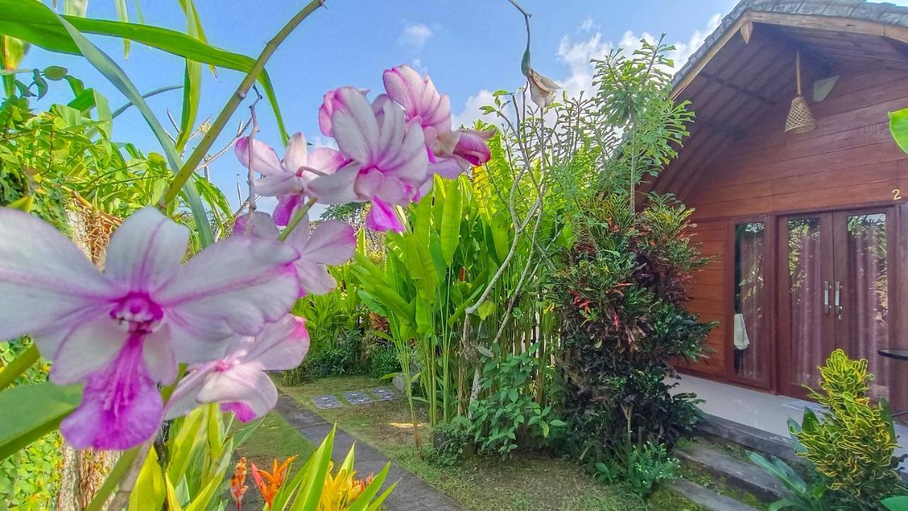 Morning Bali Bungalow Canggu Extérieur photo