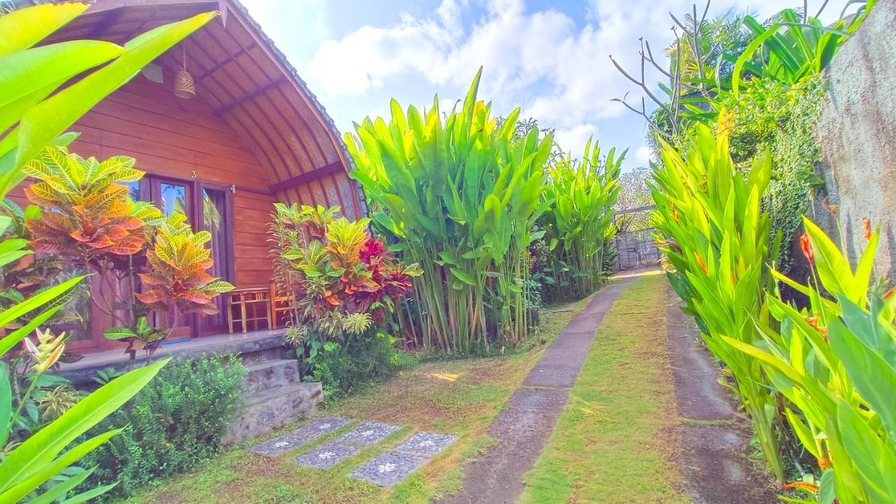 Morning Bali Bungalow Canggu Extérieur photo