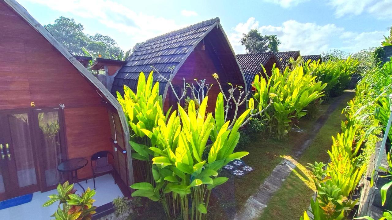 Morning Bali Bungalow Canggu Extérieur photo